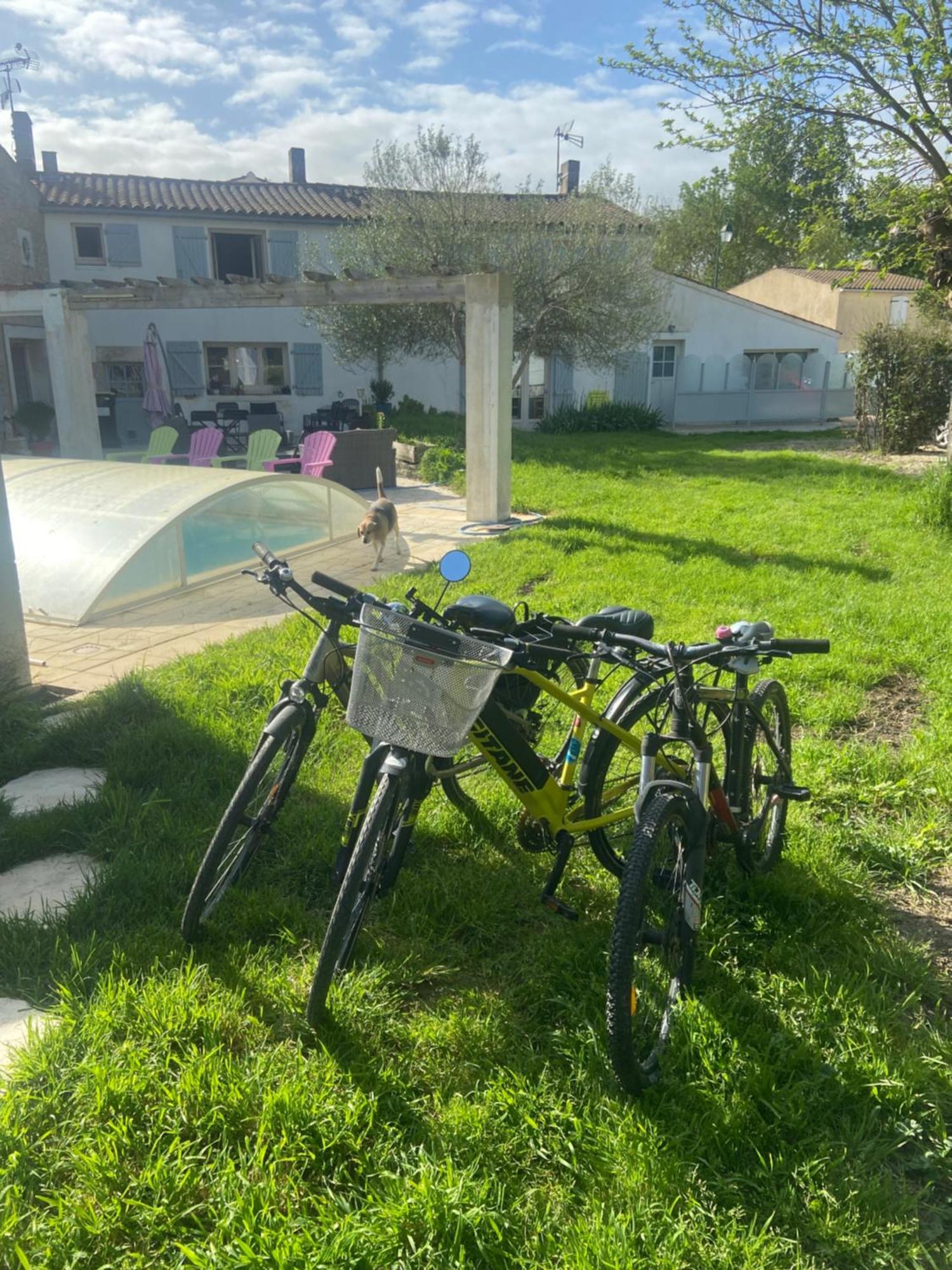 Petit Appartement Saint-Xandre エクステリア 写真
